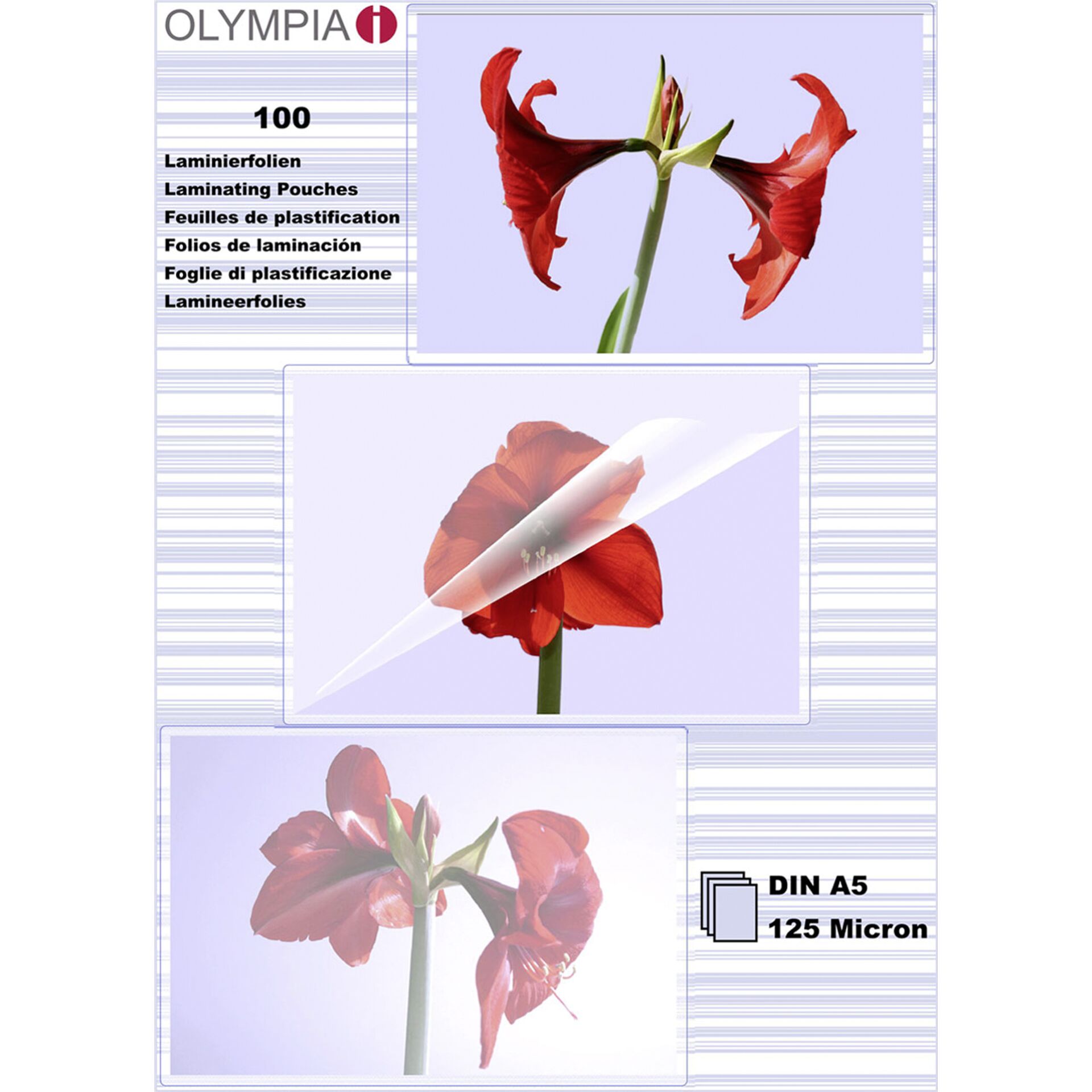 Blume, Pflanze, Blütenblatt, Ein anderes
