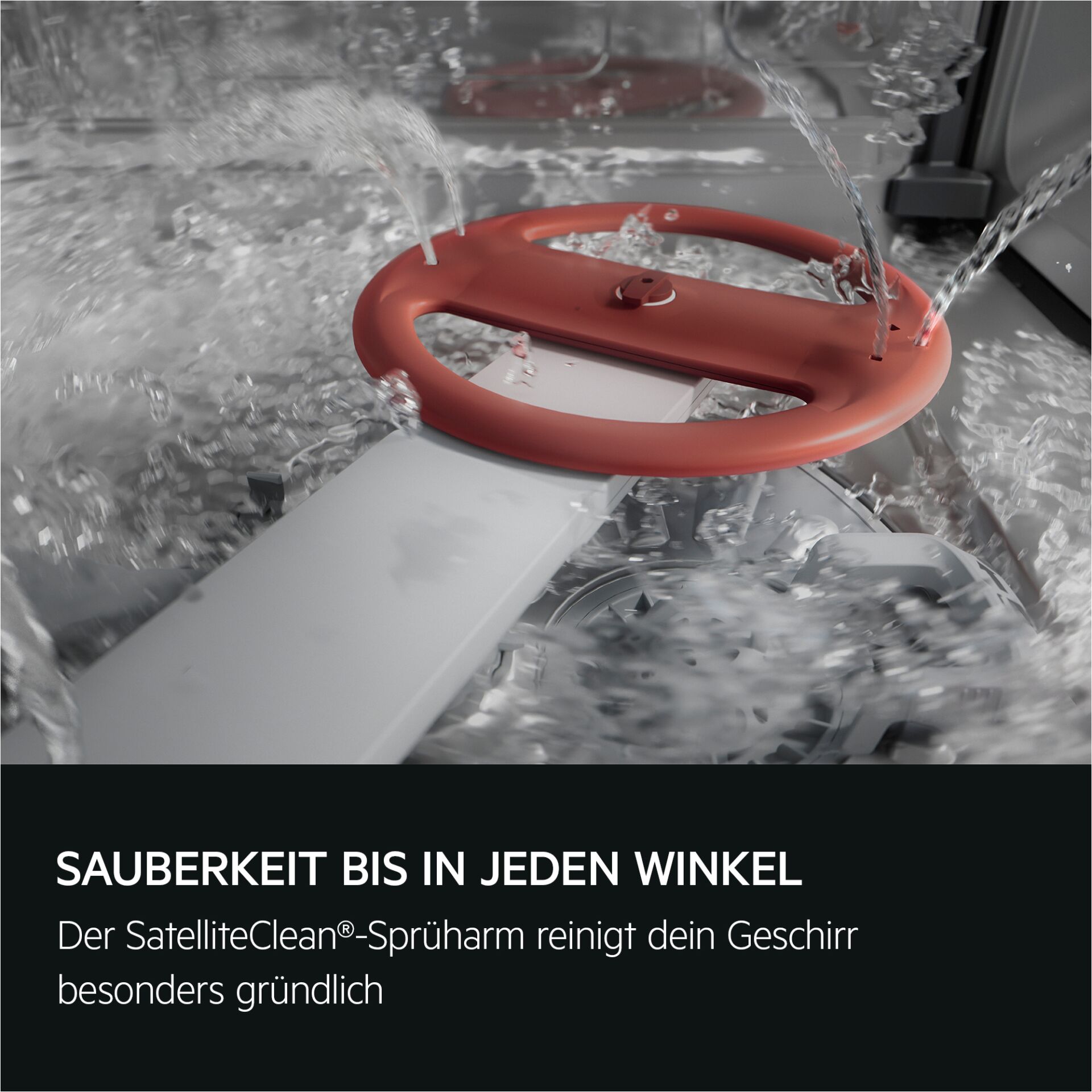 Spülarm, Geschirrspüler, Rot, Sprüharm, Reinigung