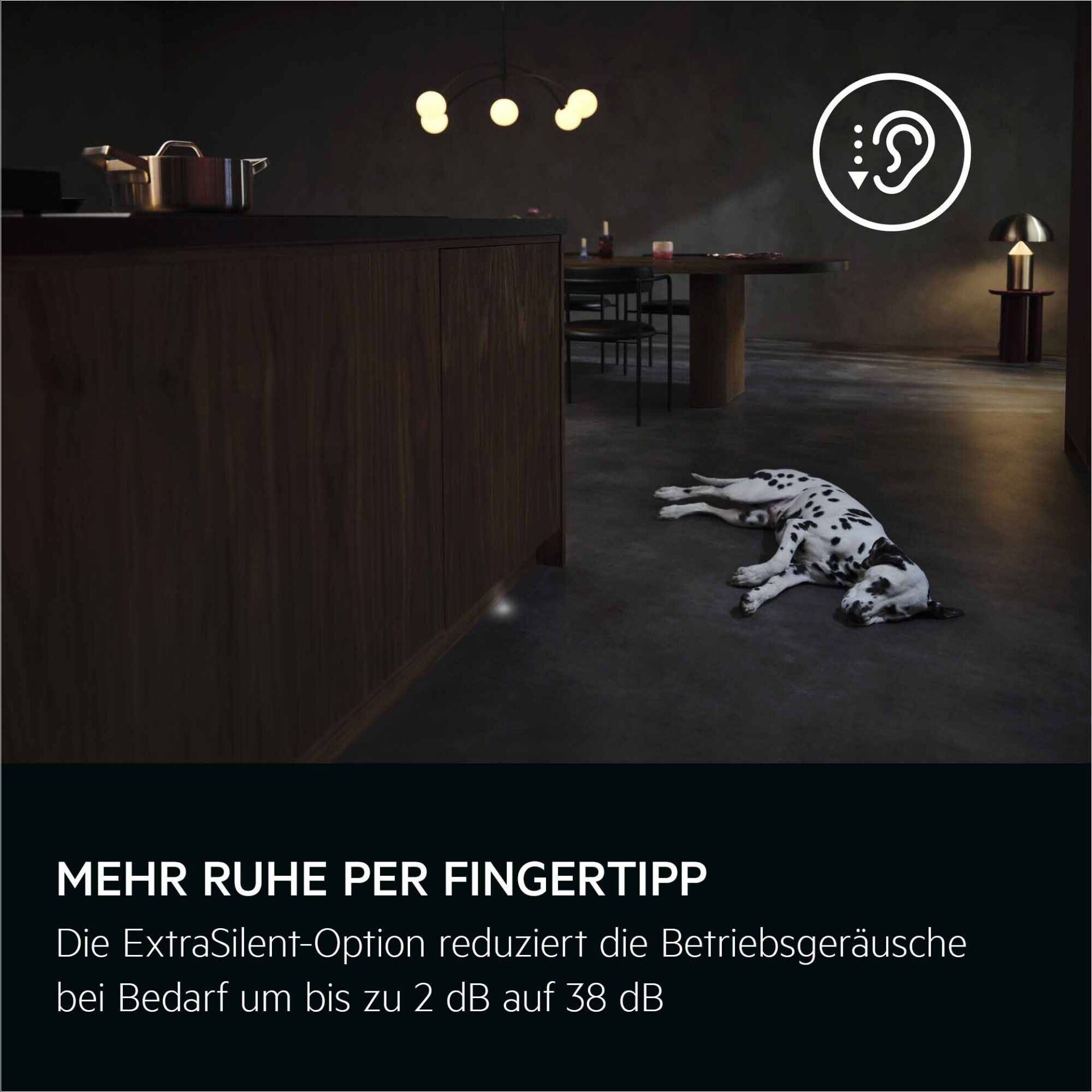 Dalmatiner, Hund, liegt, dunkle Küche, Dalmatiner Hund