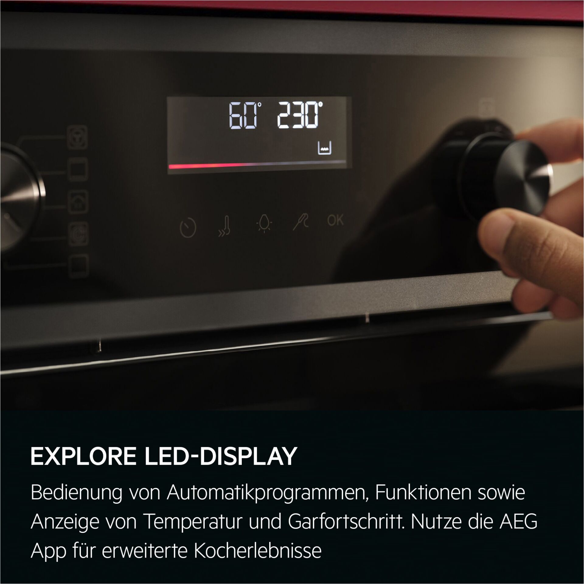 Ofen, Bedieneinheit, LED-Anzeige, Temperatur, Knopf
